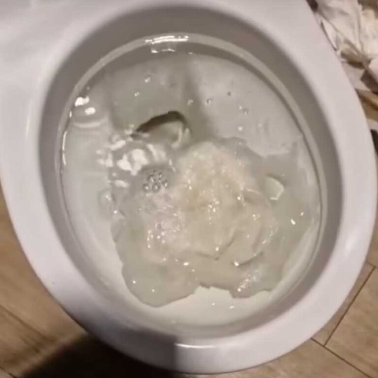 Intervention de débouchage WC à Basic-fit Diepenbeek